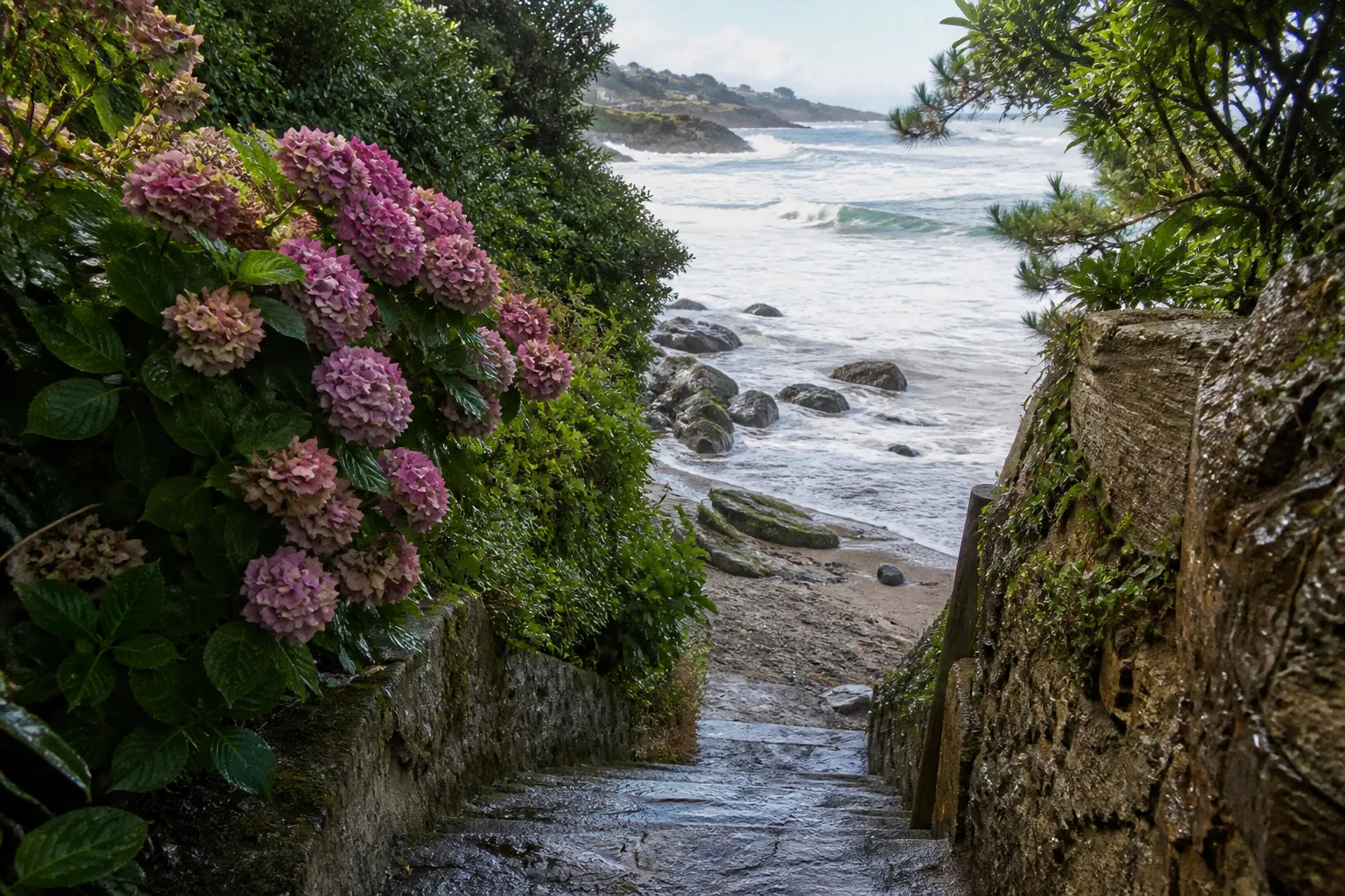 Accès plage : l'erreur d'évaluation sur la Côte basque