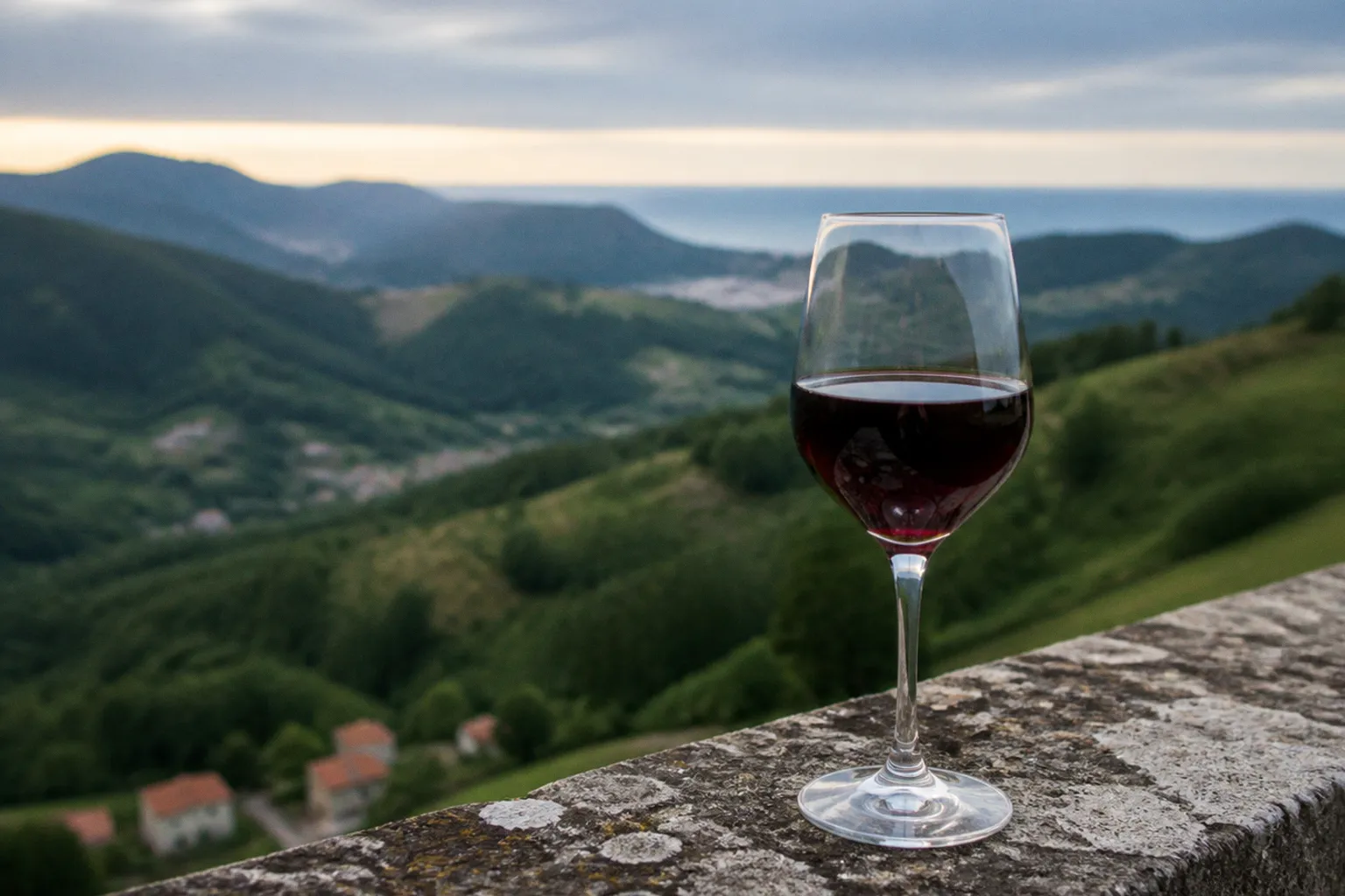 Vins d'Irouléguy : organisation d'une dégustation privée